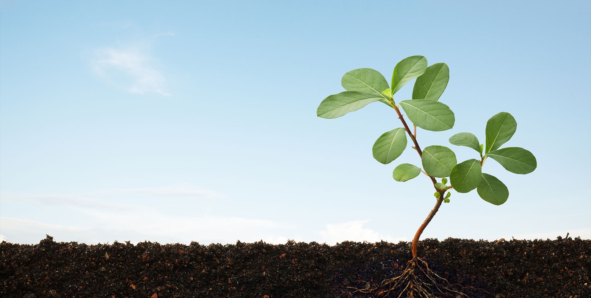 AG真人国际(中国)官方网站